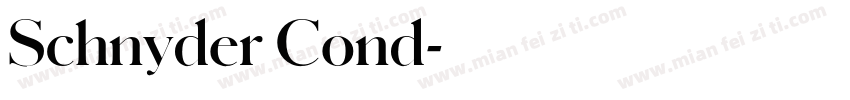 Schnyder Cond字体转换